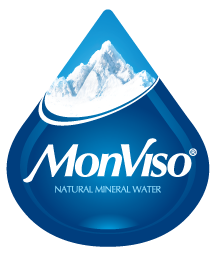 MonViso Logo