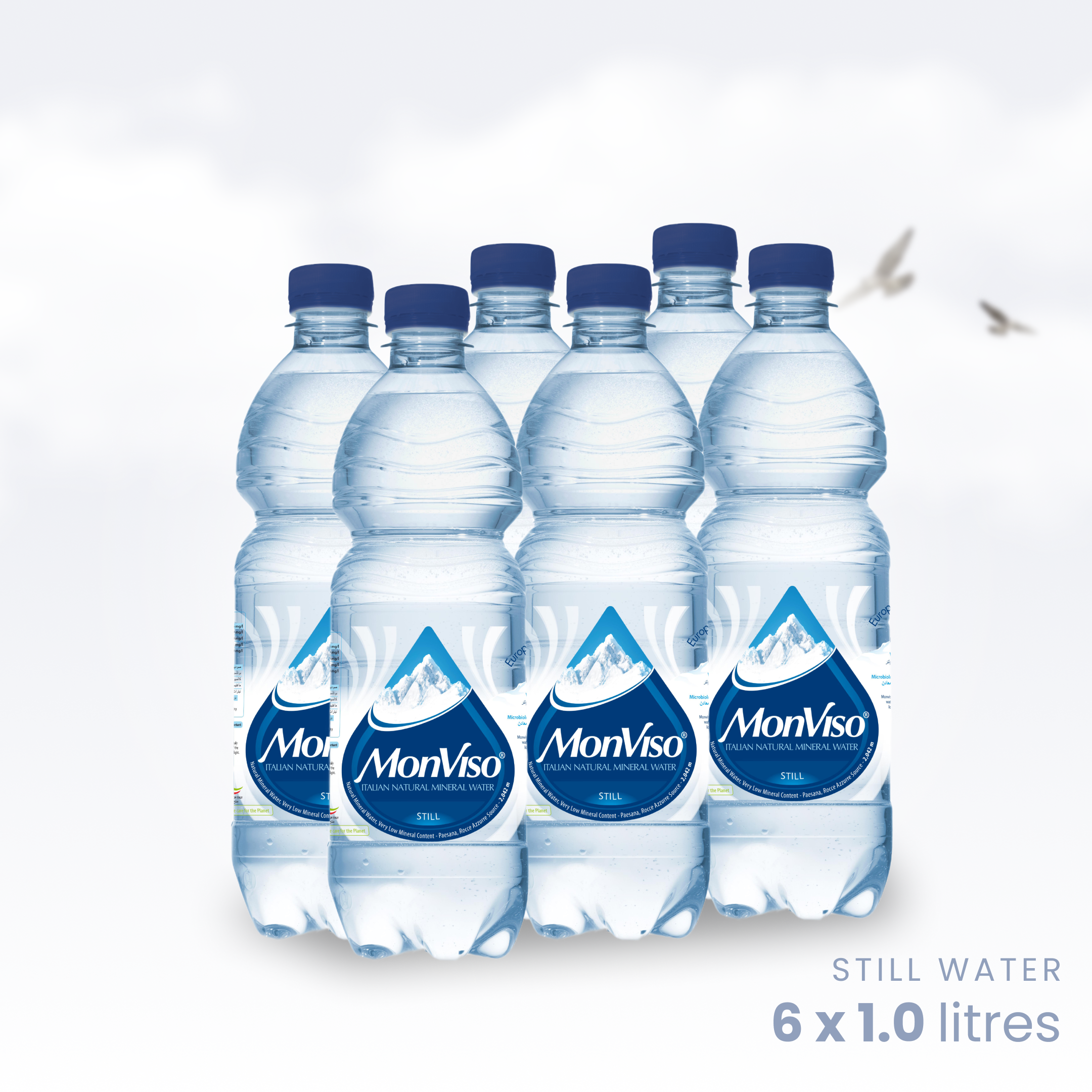MonViso PET Mineral Water