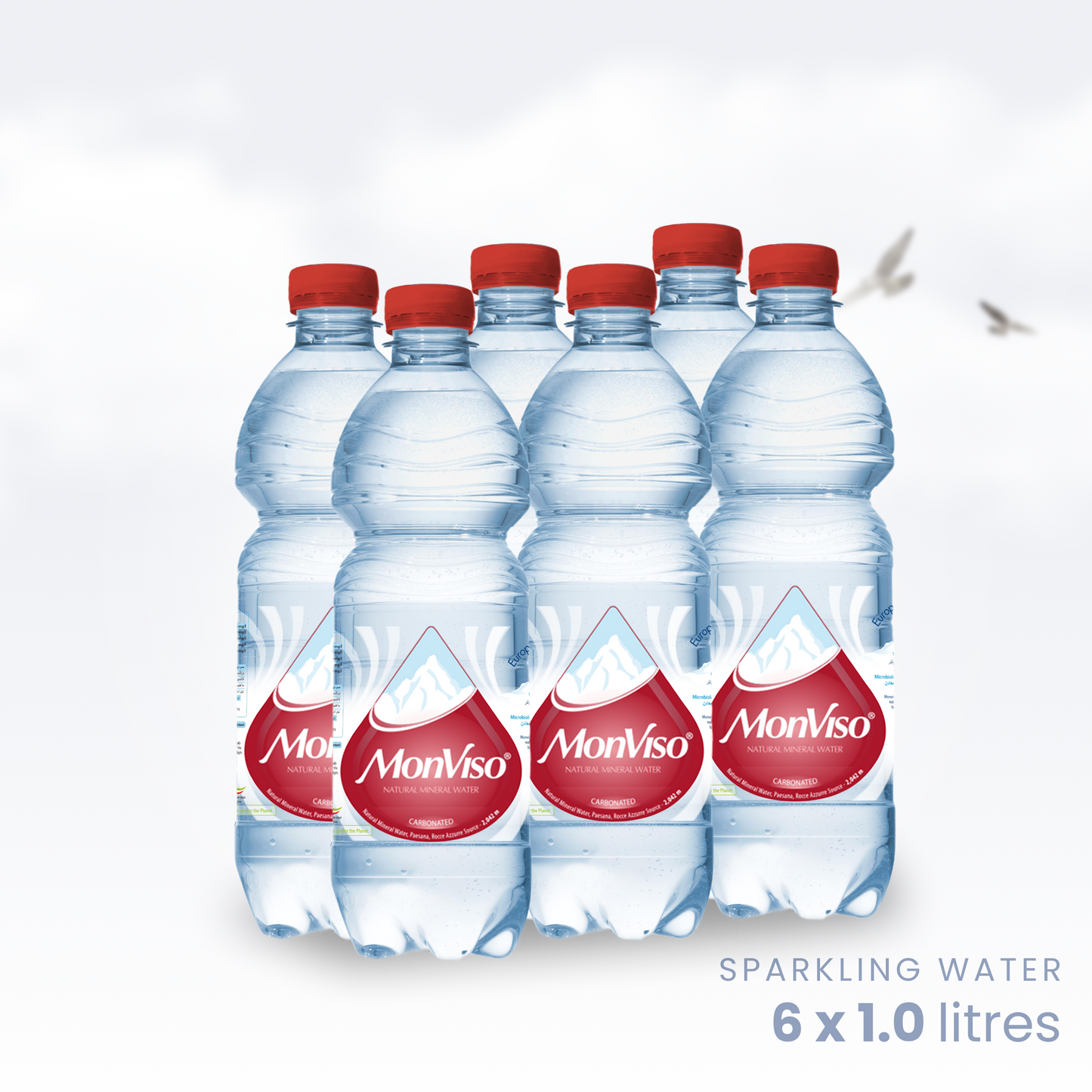 1.0 L X 6 Plastic Bottles - Sparkling Natural Mineral Water