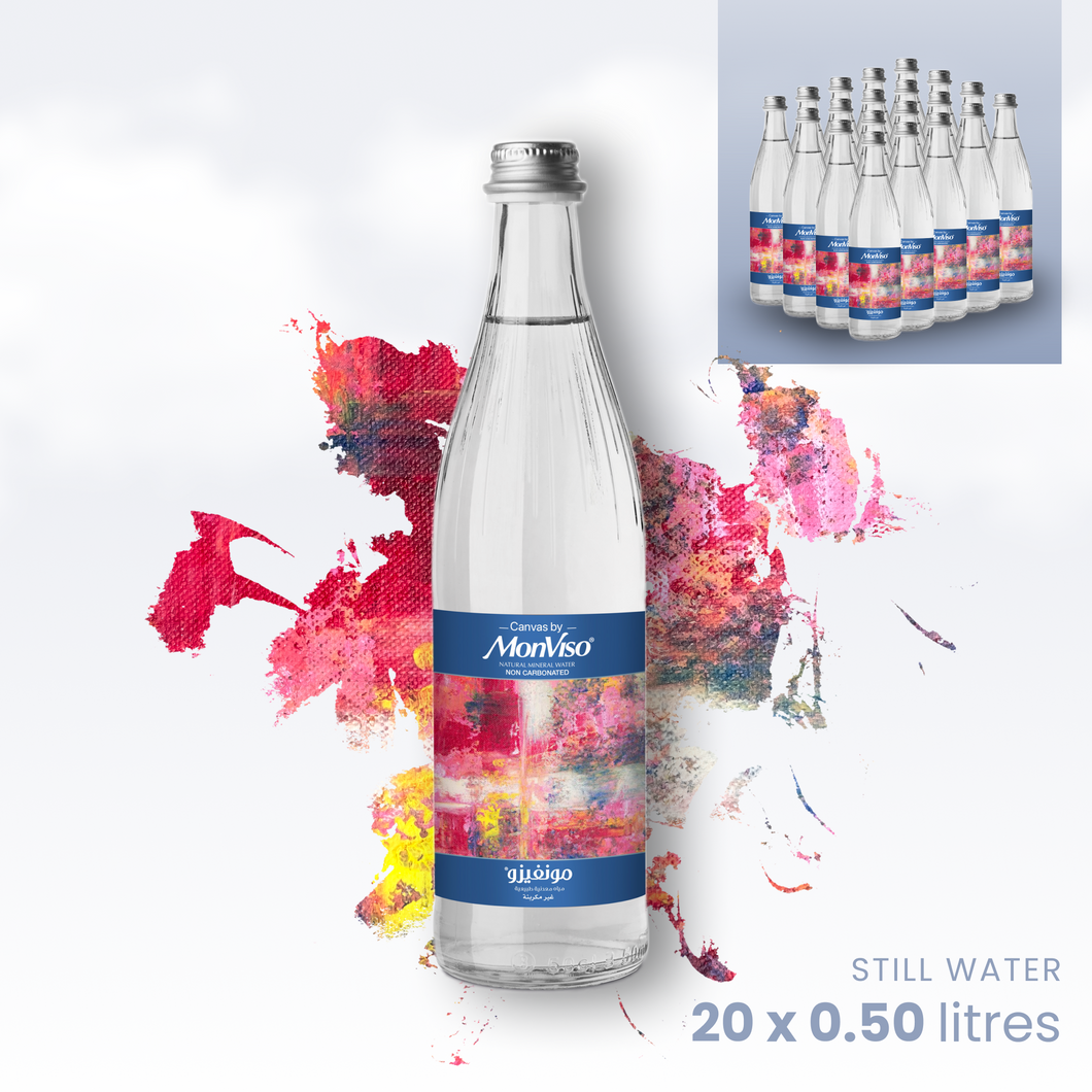 0.5 L x 20 Canvas by MonViso Still Natural Mineral Water