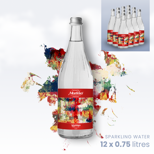 0.75 L x 12 Canvas by MonViso Sparkling Natural Mineral Water